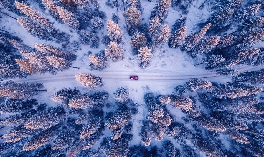 Transporte por carretera